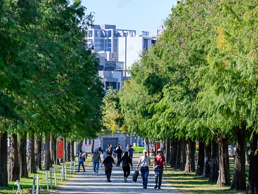 栩安-玖岳環境圖