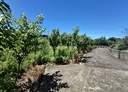 蘆竹區-八股段土地，74.5坪