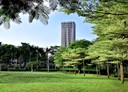 南屯區-惠心街3房2廳，41.6坪