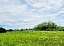 佳里區-土地，501.8坪