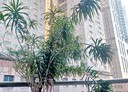 中和區-景平路3房2廳，76.6坪
