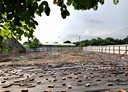 柳營區-雙和路土地，374.2坪