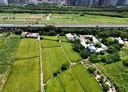 東區-土地，35.6坪