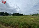大溪區-土地，1197.7坪