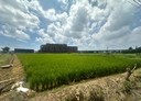 中壢區-興崙段土地，1575坪