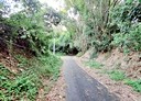 彰化市-新快官段土地，1900.7坪