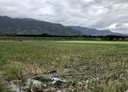 玉里鎮-土地，1525.2坪