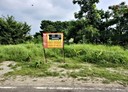 頭份市-土地，202.8坪