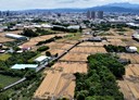 大里區-土地，317坪
