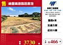 大園區-土地，466.2坪