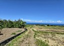 長濱鄉-土地，3182坪