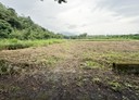 鳳林鎮-南平段土地，941.4坪