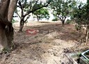 頭份市-土地，327.4坪