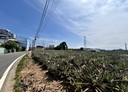鳥松區-大丘園段土地，533坪