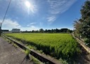 中壢區-土地，629.8坪