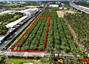 竹田鄉-新田段土地，755.6坪