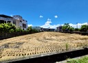 壯圍鄉-新福段土地，985.9坪