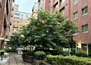桃園區-泰昌三街3房2廳，35.1坪