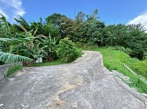 新埔低總價平坦臨路好地,近..