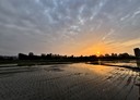 芎林鄉-金獅段土地，282.8坪