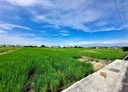 秀水鄉-土地，563.2坪