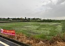 安定區-港口村土地，730.8坪