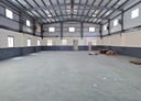 梧棲區-土地，350坪