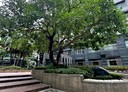 內湖區-成功路五段4房2廳，86.7坪