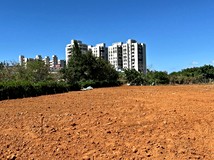 🔥平鎮東光路都計內臨路農地..