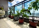 太平區-新興二街3房2廳，48.5坪