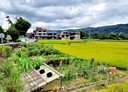關西鎮-土地，587.4坪