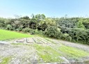 三星鄉-土地，371.9坪