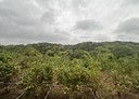 寶山鄉-土地，3913.7坪