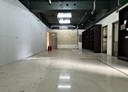 樹林區-文化街店面，66.5坪