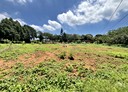 龍潭區-土地，238坪