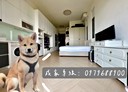 新店區-華城路1房1廳，23.9坪