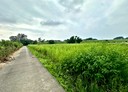 竹南鎮-土地，938坪