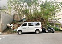 楊梅區-新梅九街土地，160.5坪