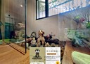 永和區-中正路3房2廳，68.4坪