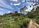 礁溪鄉-大林尾段土地，273.5坪