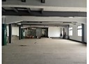 龍潭區-中豐路廠房，900坪