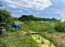 蘆竹區-八股段土地，400坪