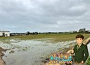 新屋區-蚵殼港段土地，1577坪