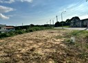 香山區-土地，215坪