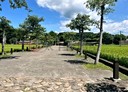 大溪區-土地，594坪