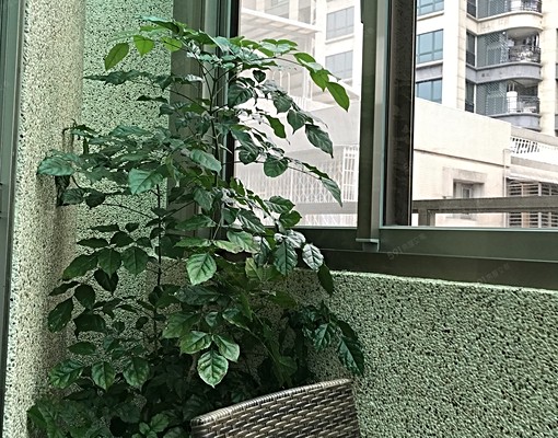 中正臨沂套房/近捷運/家電齊全/有陽台 - Image 11