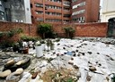 楊梅區-草湳坡段土地，50.2坪