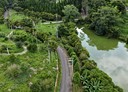 東勢區-土地，302.5坪