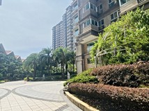 新市一路一段💃葉姐姐激推觀..