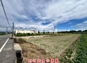 新化區-土地，451坪